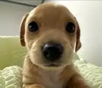 alarm