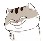cute
