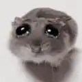 sad