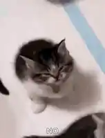 mad
